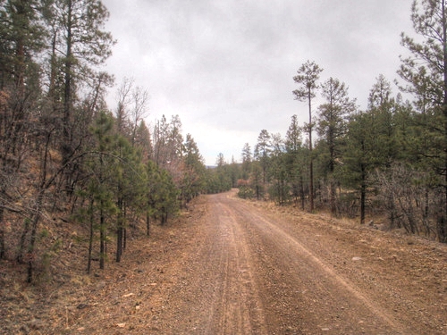 The road condition is still soft from a recent road grading.